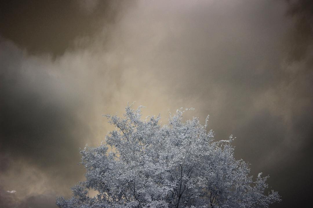 infrared afternoon