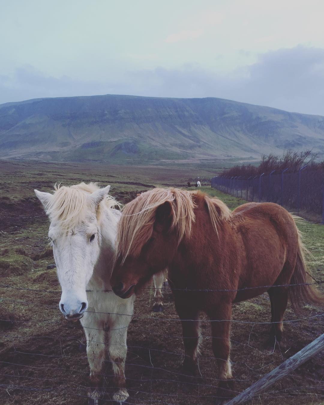 somewhereiniceland #48hoursiniceland